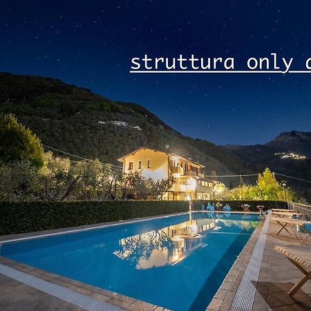 Sotto Il Cielo Di Toscana Appartamenti In Tenuta Only Adults No Pet Camaiore Eksteriør bilde
