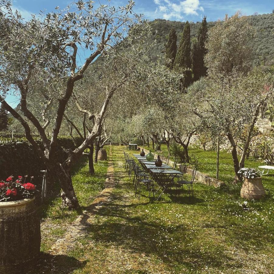 Sotto Il Cielo Di Toscana Appartamenti In Tenuta Only Adults No Pet Camaiore Eksteriør bilde