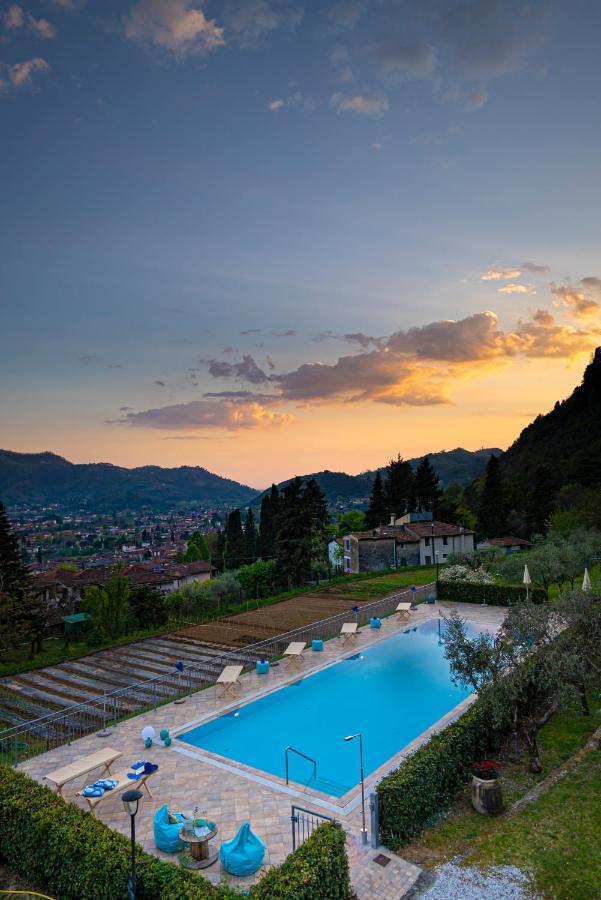 Sotto Il Cielo Di Toscana Appartamenti In Tenuta Only Adults No Pet Camaiore Eksteriør bilde