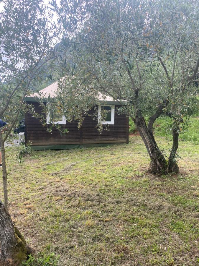 Sotto Il Cielo Di Toscana Appartamenti In Tenuta Only Adults No Pet Camaiore Eksteriør bilde