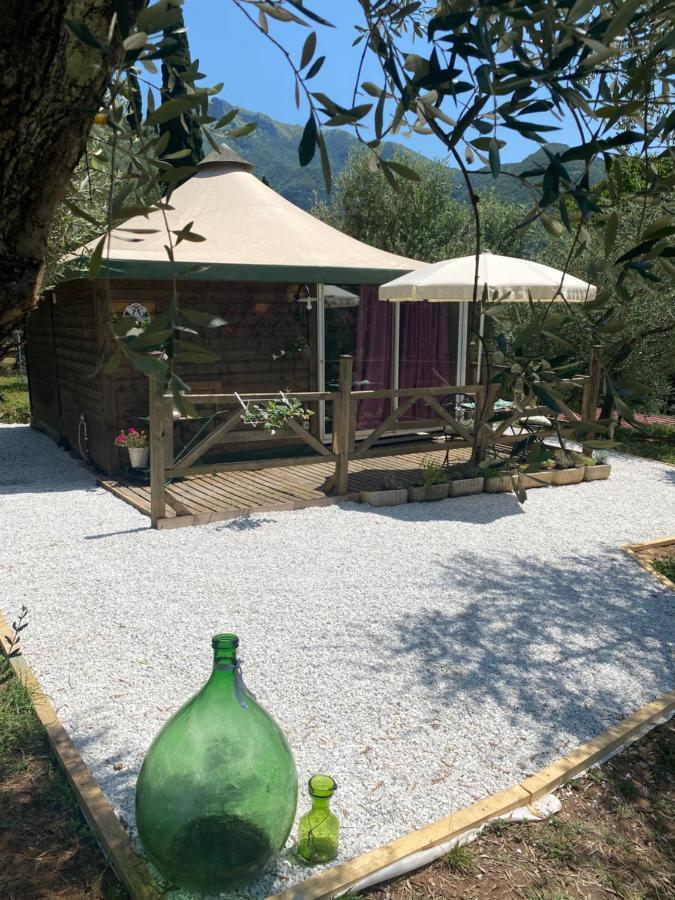 Sotto Il Cielo Di Toscana Appartamenti In Tenuta Only Adults No Pet Camaiore Eksteriør bilde
