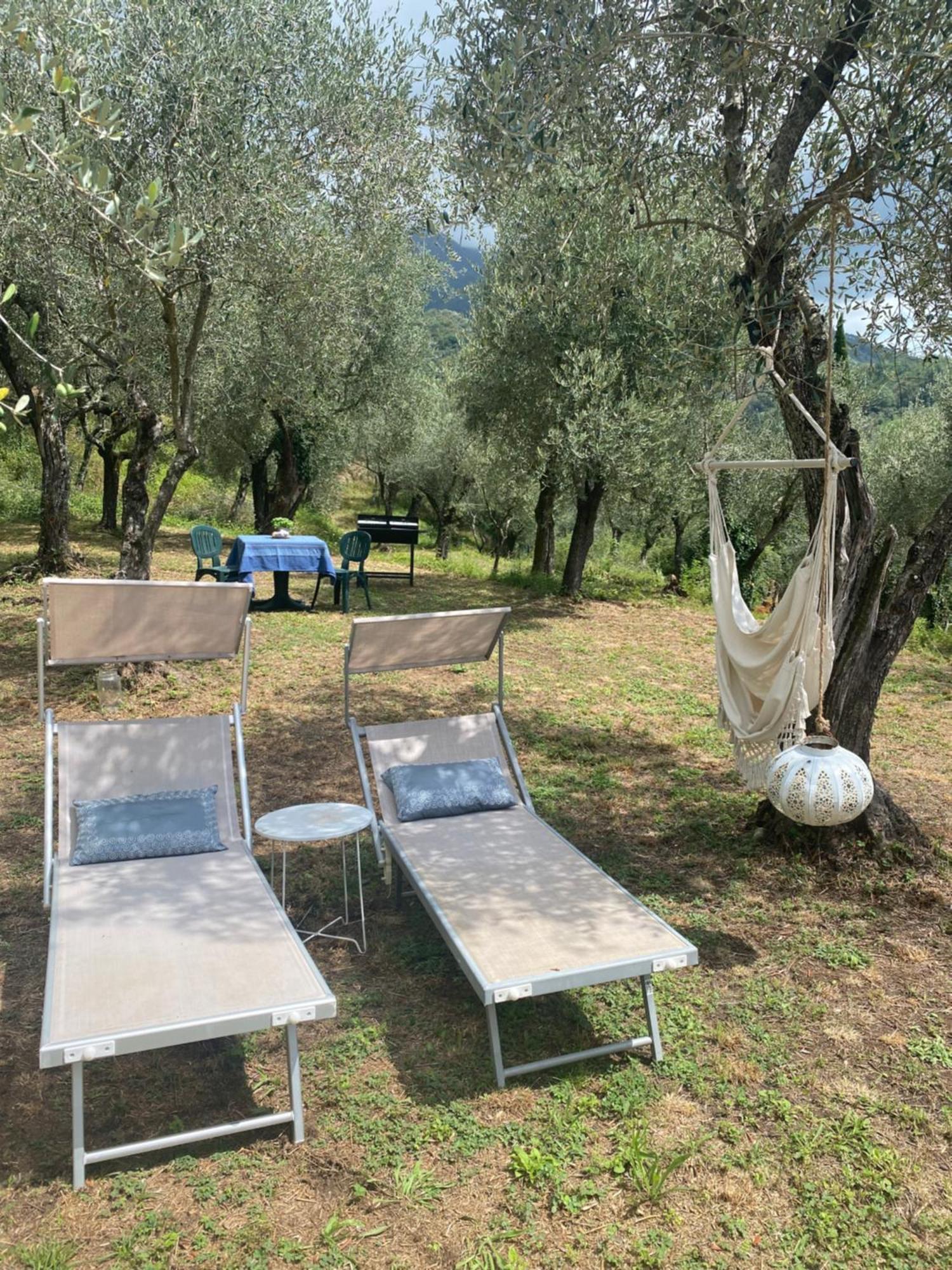 Sotto Il Cielo Di Toscana Appartamenti In Tenuta Only Adults No Pet Camaiore Eksteriør bilde