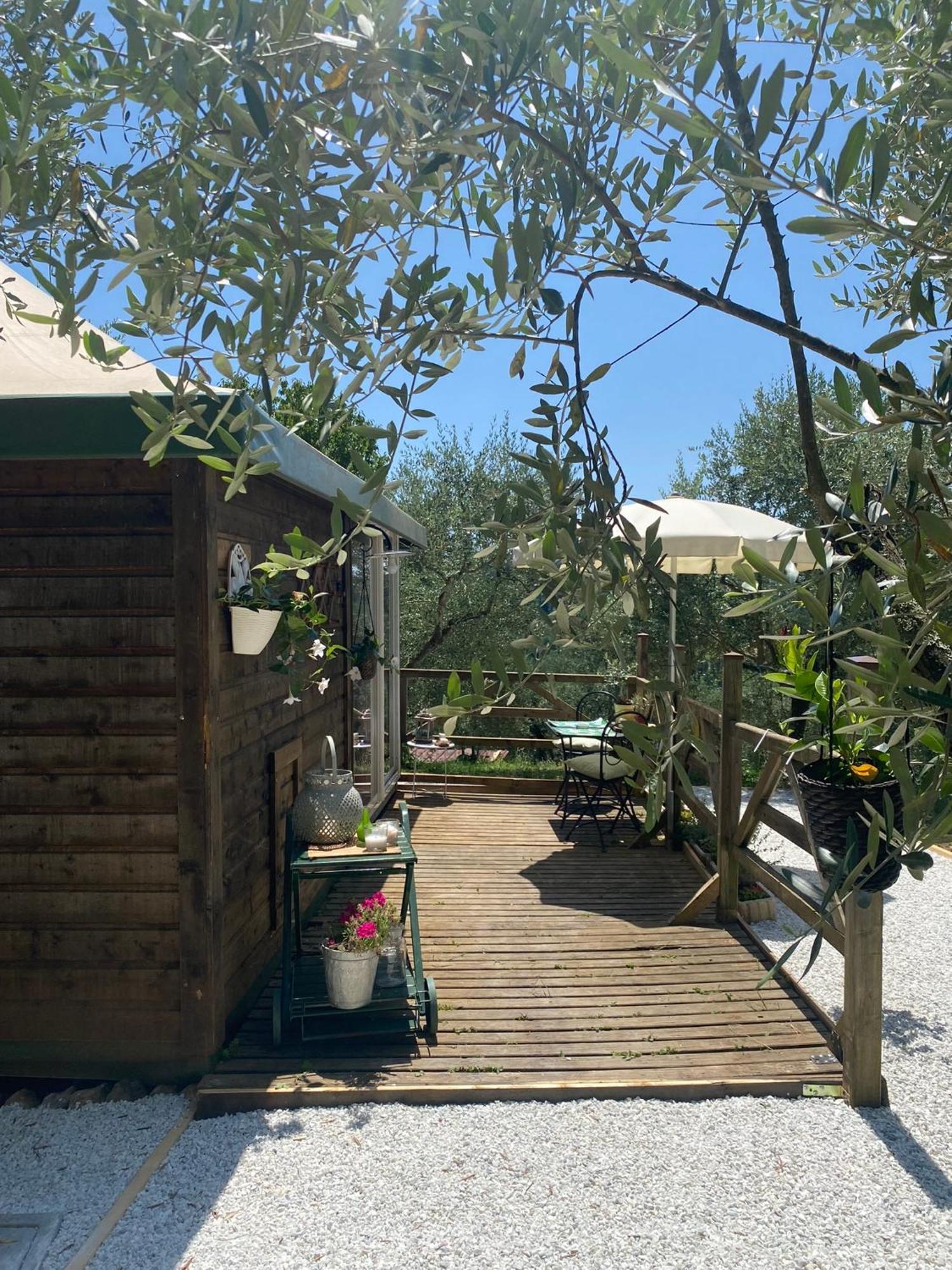 Sotto Il Cielo Di Toscana Appartamenti In Tenuta Only Adults No Pet Camaiore Eksteriør bilde